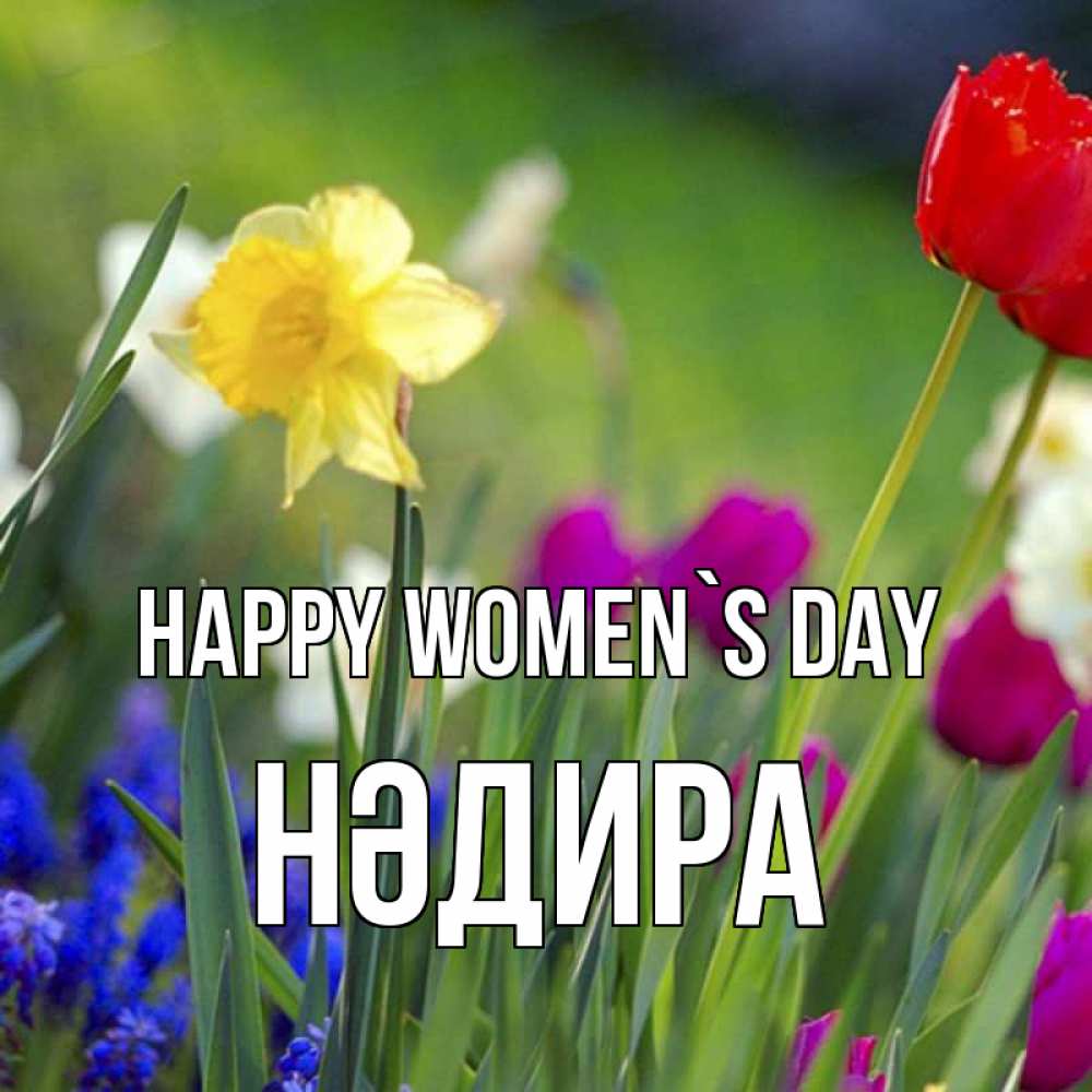 Greetings card с именем, НӘДИРА happy women`s day международный женский день 3 Greetings with text for free download 